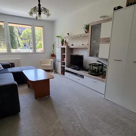 Spacious Flat In A Quiet Spot Of Frydek-Mistek 아파트